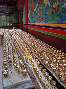 DSC01769 